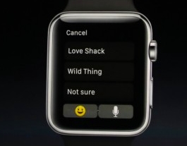 calorie tracker apple watch