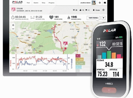 polar v650 2019